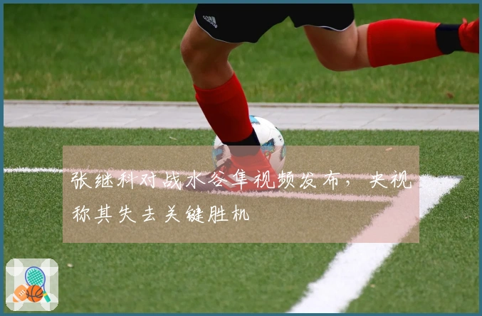 张继科对战水谷隼视频发布，央视称其失去关键胜机