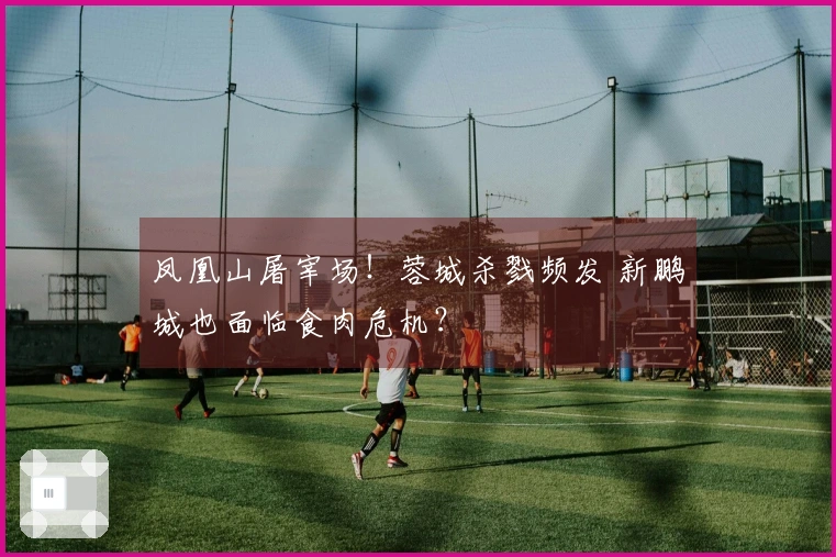 凤凰山屠宰场！蓉城杀戮频发 新鹏城也面临食肉危机？