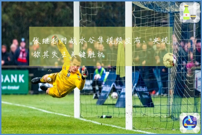 张继科对战水谷隼视频发布，央视称其失去关键胜机