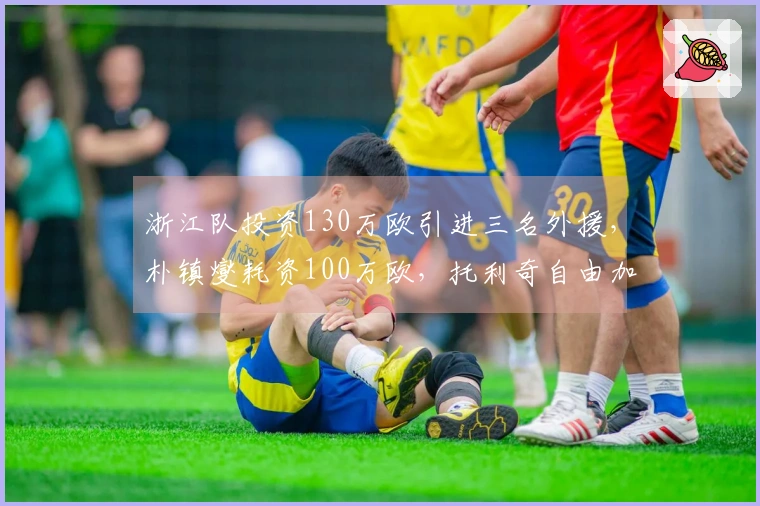 浙江队投资130万欧引进三名外援，朴镇燮耗资100万欧，托利奇自由加盟
